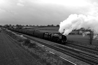 OL19 57DM_6D_EF50
