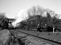 ML29 54M_GW670_HP5+