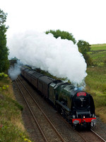 NI06 23D_500CM_P21_Planar100