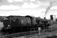 OI06 58DM_6D_EF50