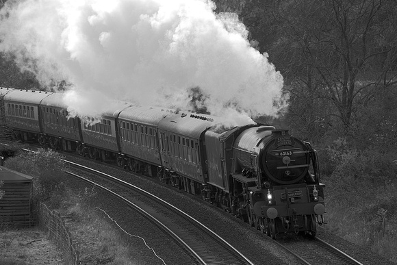 UK13 52DM_Canon6D_EF70-300L@300mm
