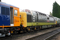 NI27 07D_300D_Lydith30