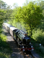ME25 29D_FZ50