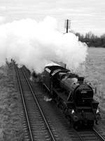PL03 51DM_2000FC_CFV50c_Planar100