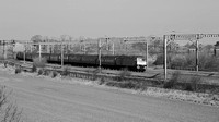 VC26 54DM_Canon6D_EF70-300L@146mm