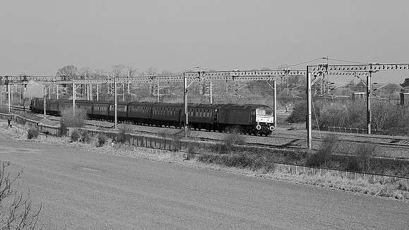 VC26 54DM_Canon6D_EF70-300L@146mm