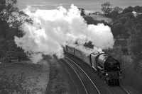 UK13 54DM_Canon6D_EF70-300L@120mm