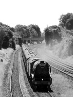 RF30 51DM_NikonDf_Sonnar300