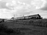 MI14 52M_Pentax67_HP5+