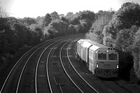 VH12 57DM_NikonDf_AF-SNikkor28-300G@300mm