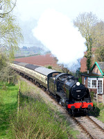 31806