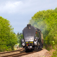 4498 SIR NIGEL GRESLEY