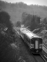 TL17 56DM_NikonDf_AF-SNikkor28-300G@180 mm