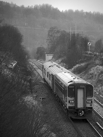 TL17 56DM_NikonDf_AF-SNikkor28-300G@180 mm