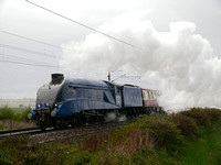 MD28 13D_FZ50