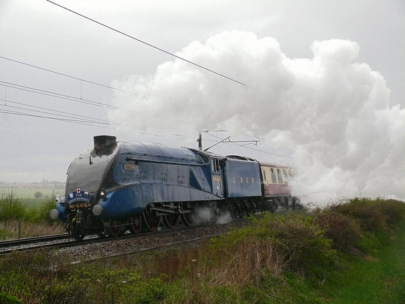 MD28 13D_FZ50
