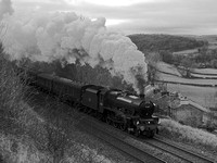 VA22 51DM_NikonDf_AF-Nikkor50D