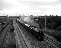 NF28 05D_300D_Flektogon35