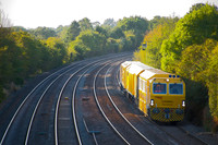 VH12 07DC_NikonDf_AF-SNikkor28-300G@300mm