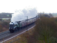 RL20 06DC_Canon6D_EF85
