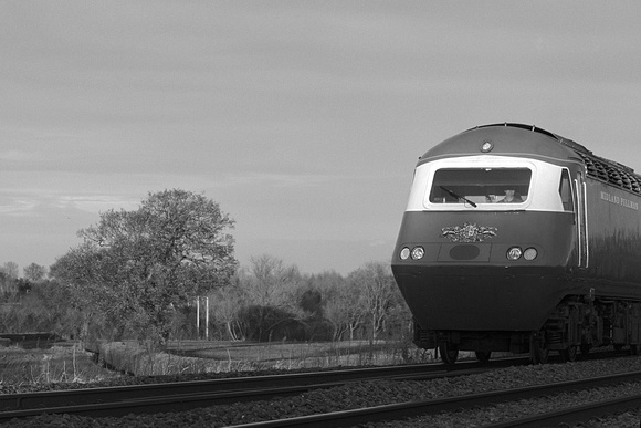 TL12 58DM_Canon6D_EF85