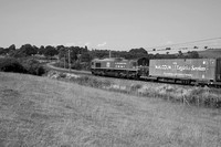 UG17 53DM_NikonDf_AF-Nikkor50D