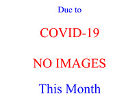 COVID-19