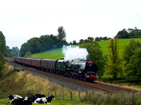 NI06 21D_500CM_P21_Planar100
