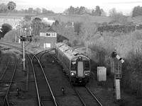 UK20 51DM_NikonDf_AF-SNikkor28-300G@150mm