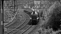 XE11 53DM_NikonDf_AF-SNikkor28-300G@300mm