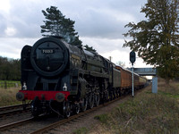 ML22 17D_500CM_P21_Planar80