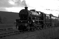 QJ21 53DM_300D_EFS18-55