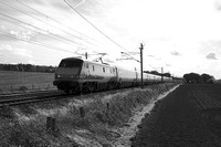 RJ13 56DM_NikonDf_Nikkor50D