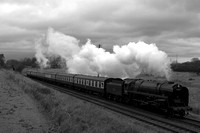 OK08 61DM_6D_EF50