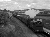 VE07 52DM_NikonDf_AF-Nikkor50D