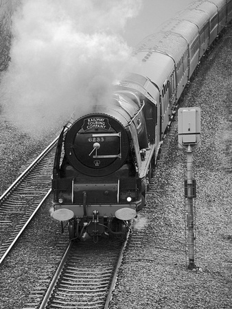 SC09 56DM_NikonDf_NikkorAF-S28-300G
