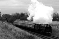 OK08 60DM_300D_EF85