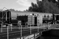 ADB 975397