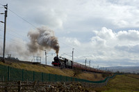 VB26 04DC_NikonDf_AF-NikkorD50