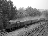 QI23 52DM_6D_EF70-300L
