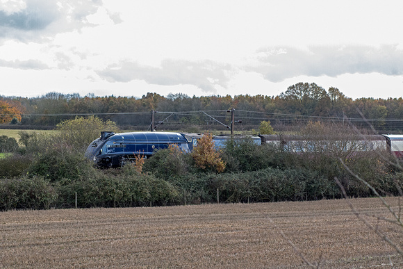 XK16 03DC_Canon6D_EF85mm