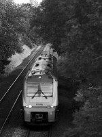 RF16 52DM_NikonDf_Sonnar300