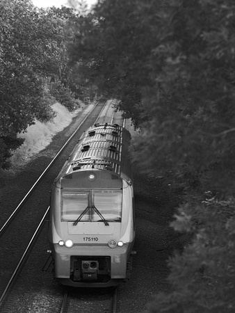 RF16 52DM_NikonDf_Sonnar300