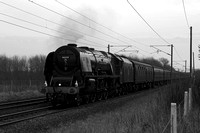 OL17 53DM_300D_Planar50