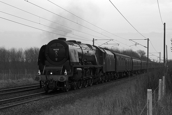 OL17 53DM_300D_Planar50