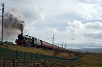 VB26 05DC_NikonDf_AF-NikkorD50