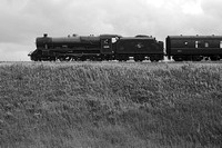 RH28 59DM_NikonDf_Biometar80