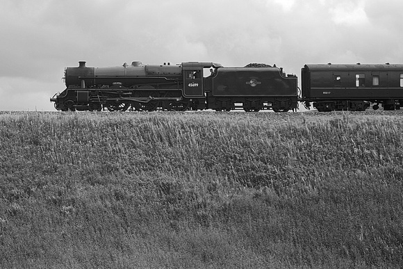 RH28 59DM_NikonDf_Biometar80
