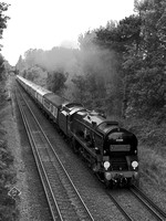 QJ14 55DM_500CM_P21_Planar80