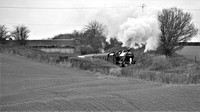 WB18 70DM_Canon6D_EF70-300L@300mm